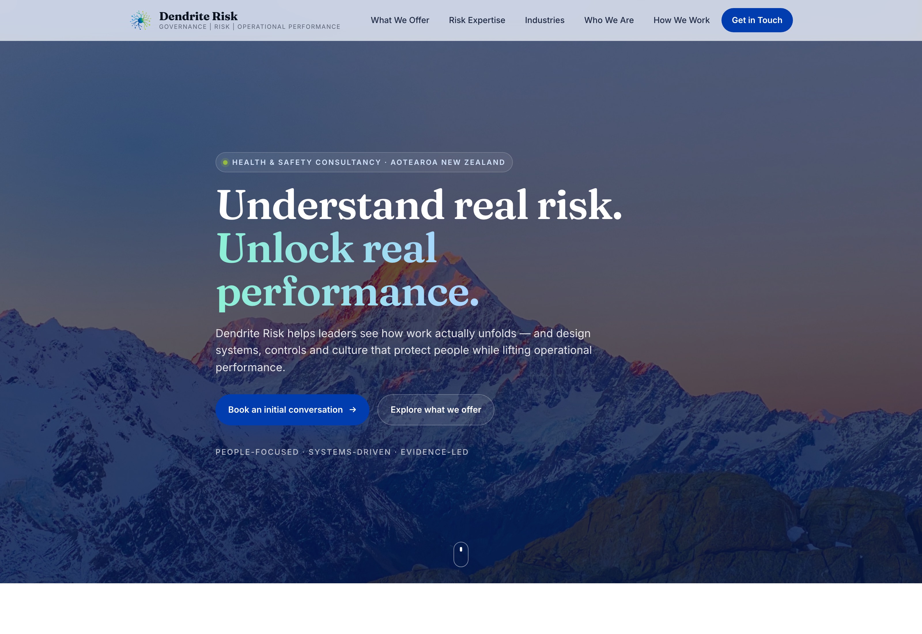 Dendrite Risk website