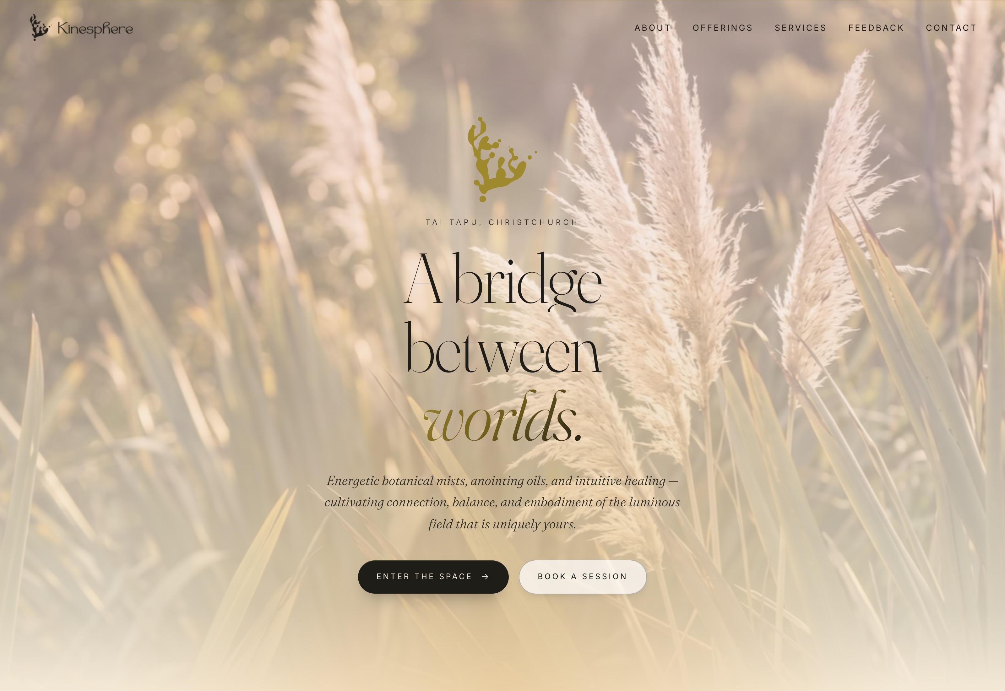 Kinesphere website